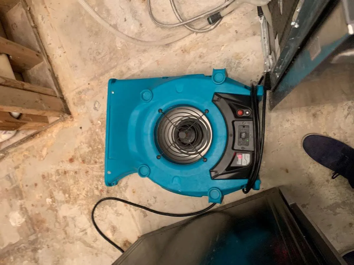 Air mover drying equipment for Mold Remediation & Removal in Hermantown